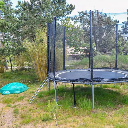 Hedevej Xii Denmk Ho